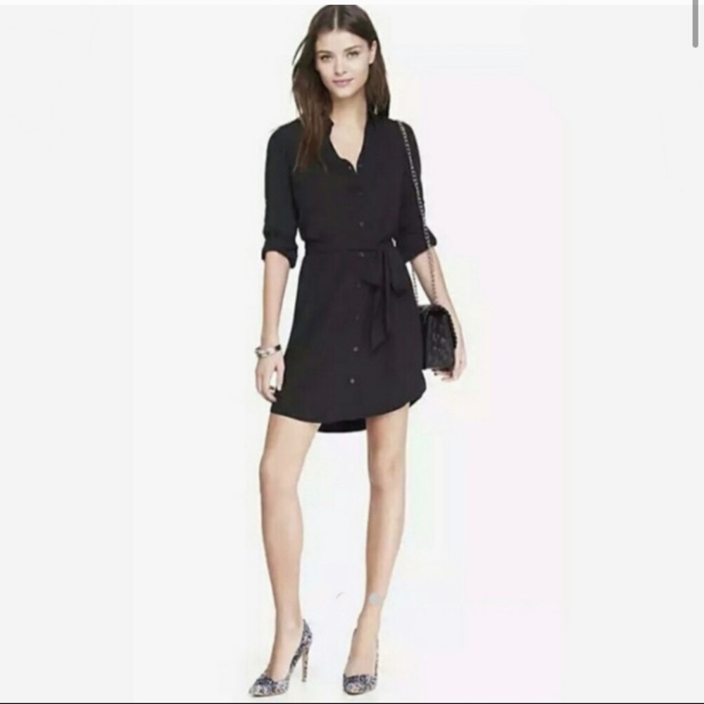 EXPRESS Portfolio Shirt Dress
